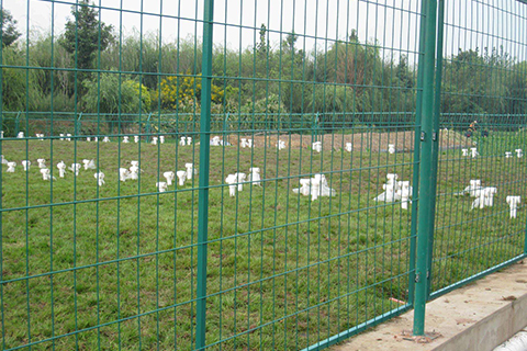 道路護欄網(wǎng)